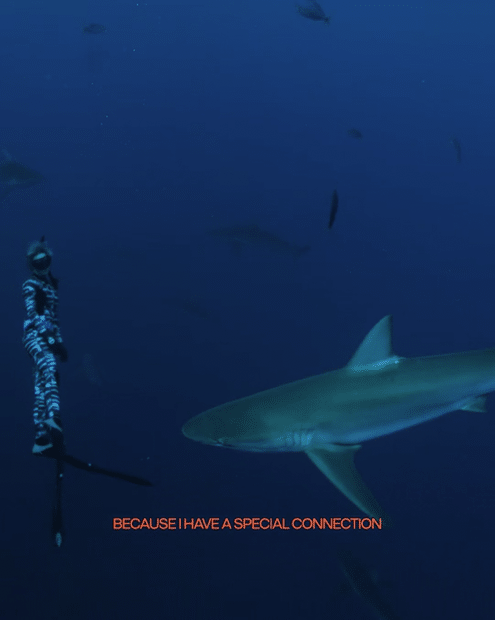 Ocean Ramsey